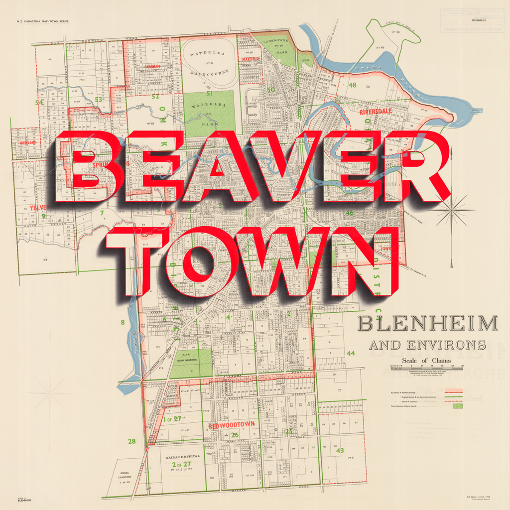 BEAVERTOWN Limited Edition Giclée map print of Blenheim, Marlborough NZ v01 – toptownz