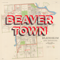 BEAVERTOWN Limited Edition Giclée map print of Blenheim, Marlborough NZ v01 – toptownz