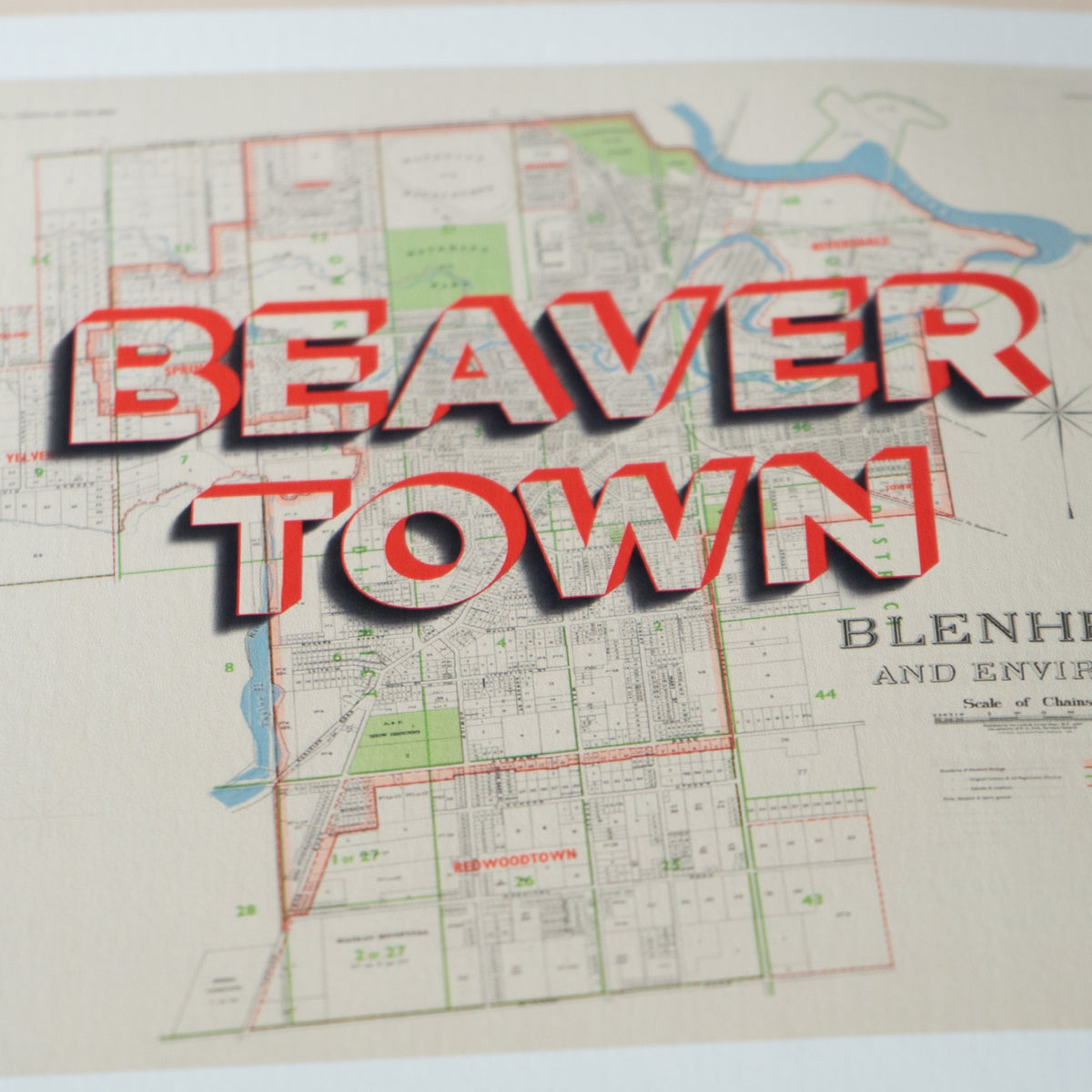 BEAVERTOWN Limited Edition Giclée map print of Blenheim, Marlborough NZ v01 – toptownz