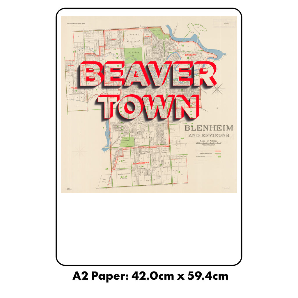 BEAVERTOWN Limited Edition Giclée map print of Blenheim, Marlborough NZ v01 – toptownz