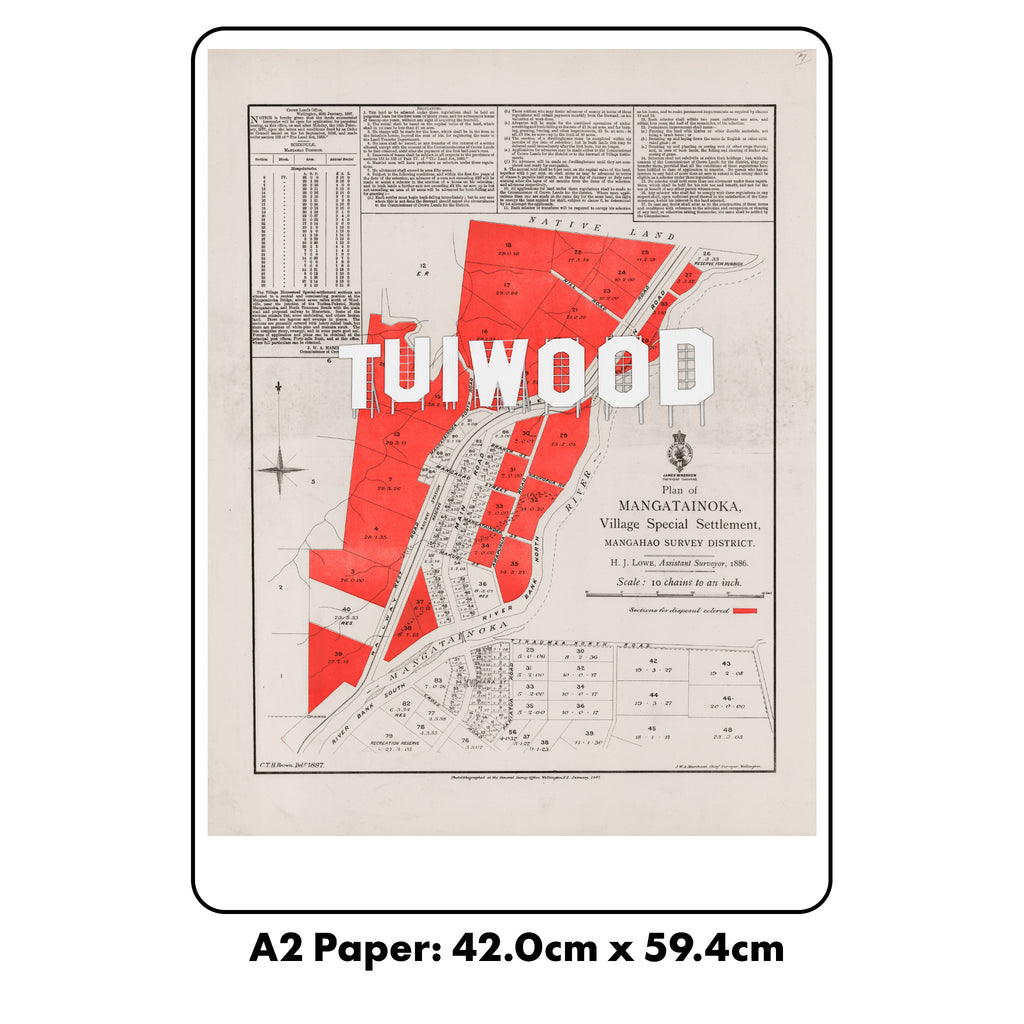 TUIWOOD Ltd Ed.  Giclée map print of Mangatainoka, Tuiwood, Tai Beer, Wairarapa NZ – toptownz Slogans
