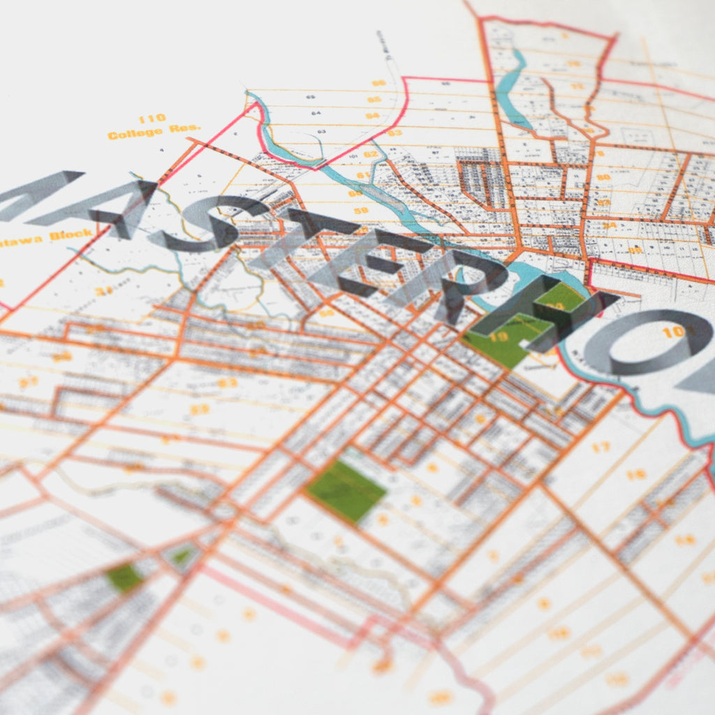 MASTERHOLE Ltd. Ed.  Giclée map print of Masterton, Wairarapa New Zealand – toptownz Moniker