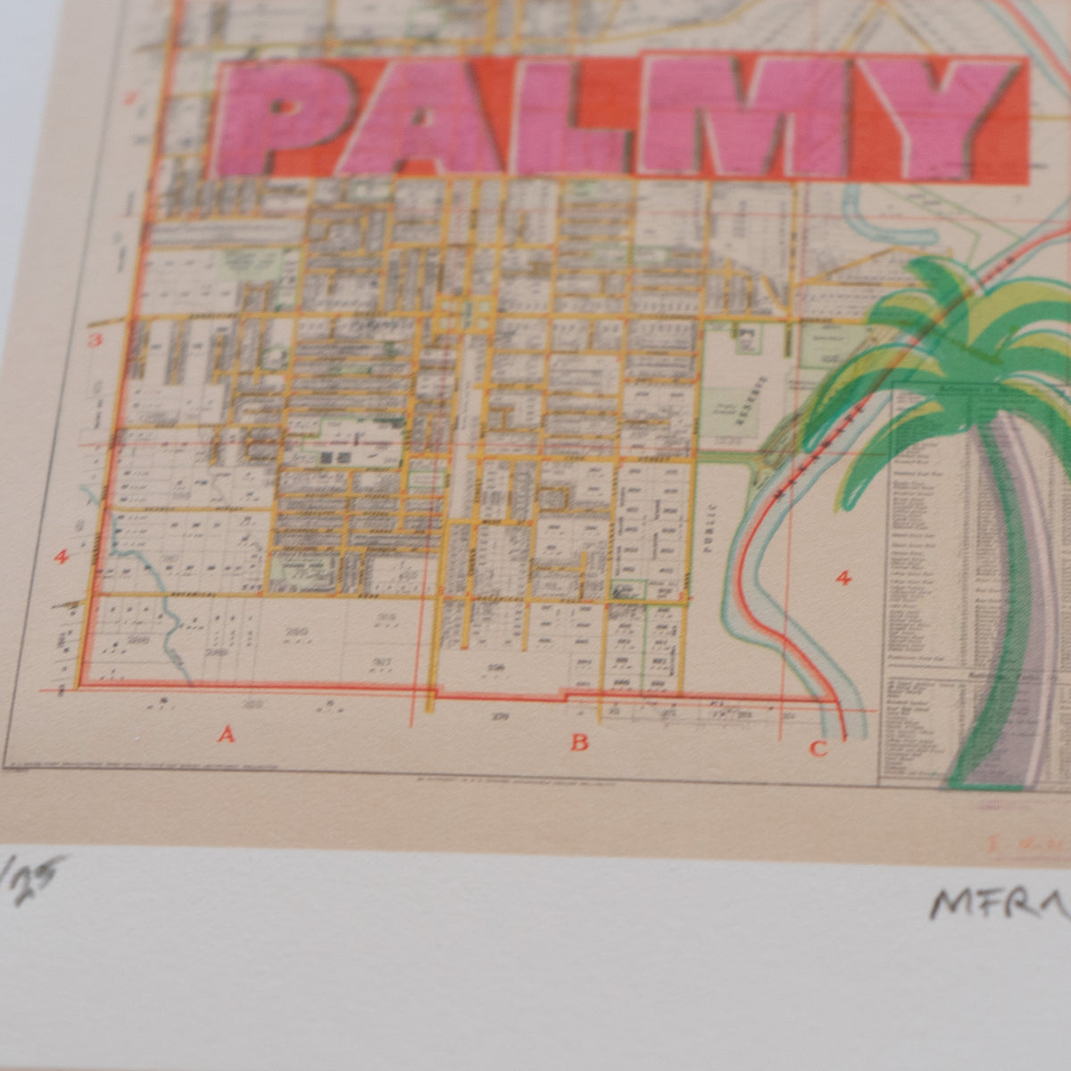 PIE COCK Limited edition Giclée map print of Paekākāriki, Wellington NZ – toptownz