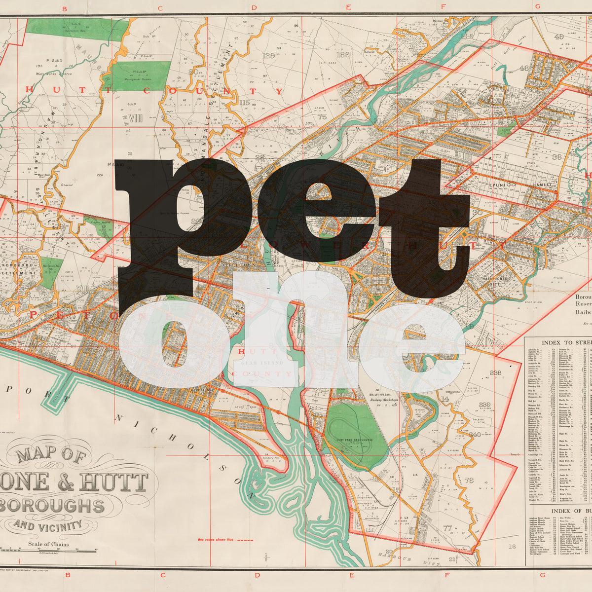 Petone - Limited edition Giclée map print of Petone, Wellington NZ – toptownz
