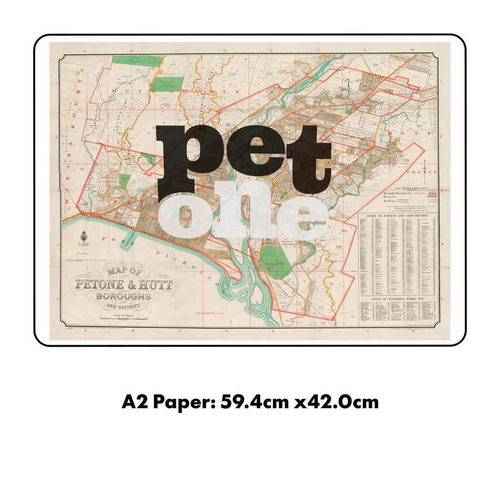 Petone - Limited edition Giclée map print of Petone, Wellington NZ – toptownz