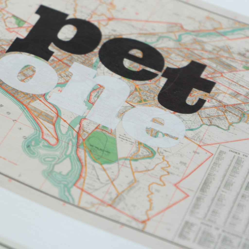 Petone - Limited edition Giclée map print of Petone, Wellington NZ – toptownz Town Slogans