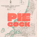 PIE COCK Limited edition Giclée map print of Paekākāriki, Wellington NZ – toptownz
