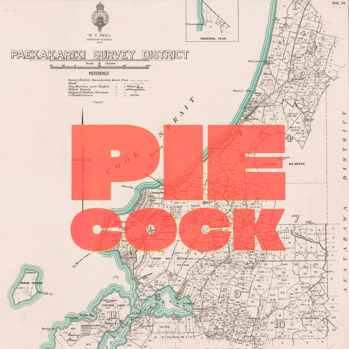 PIE COCK Limited edition Giclée map print of Paekākāriki, Wellington NZ – toptownz
