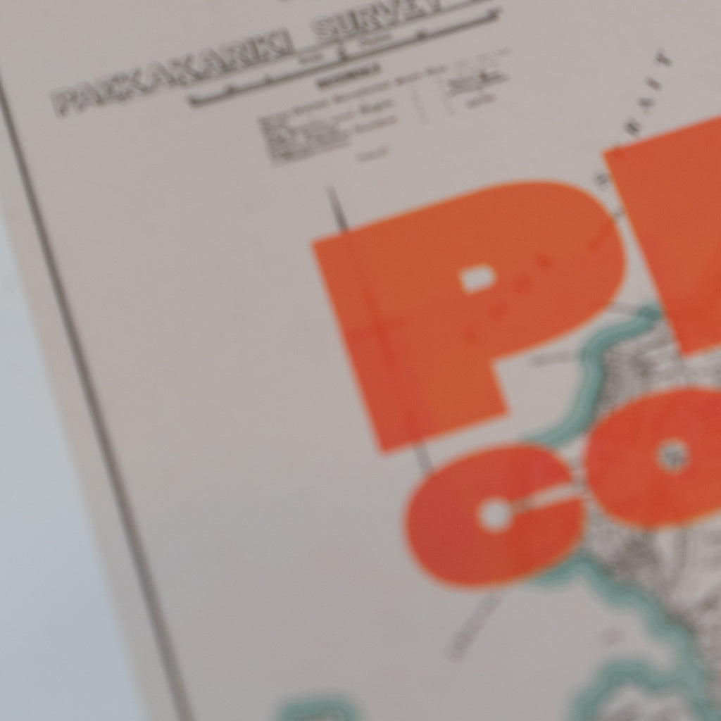 PIE COCK Limited edition Giclée map print of Paekākāriki, Wellington NZ – toptownz