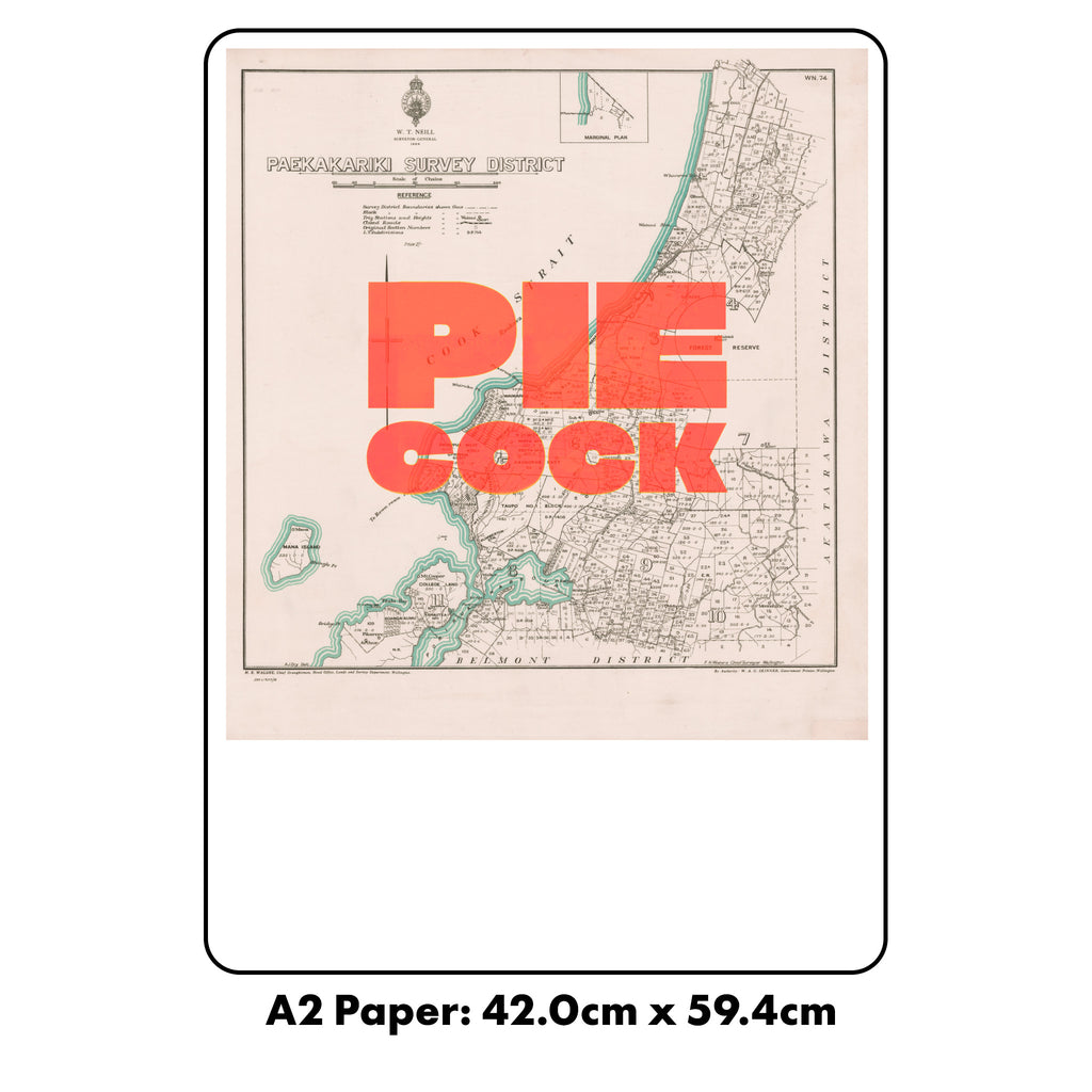 PIE COCK Limited edition Giclée map print of Paekākāriki, Wellington NZ – toptownz
