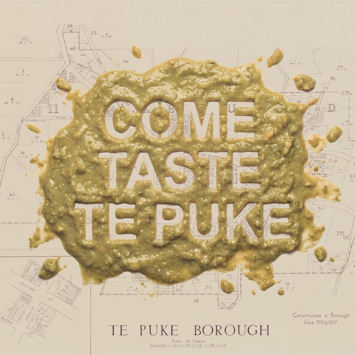 TEPUKE Ltd. Ed.  Giclée map print of Te Puke, Bay of Plenty New Zealand– toptownz Town Slogans