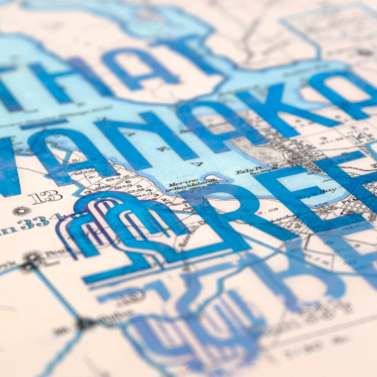 That Wanaka Tree - Limited edition A2 Giclée map print of Wanaka, Otago NZ v01 – toptownz