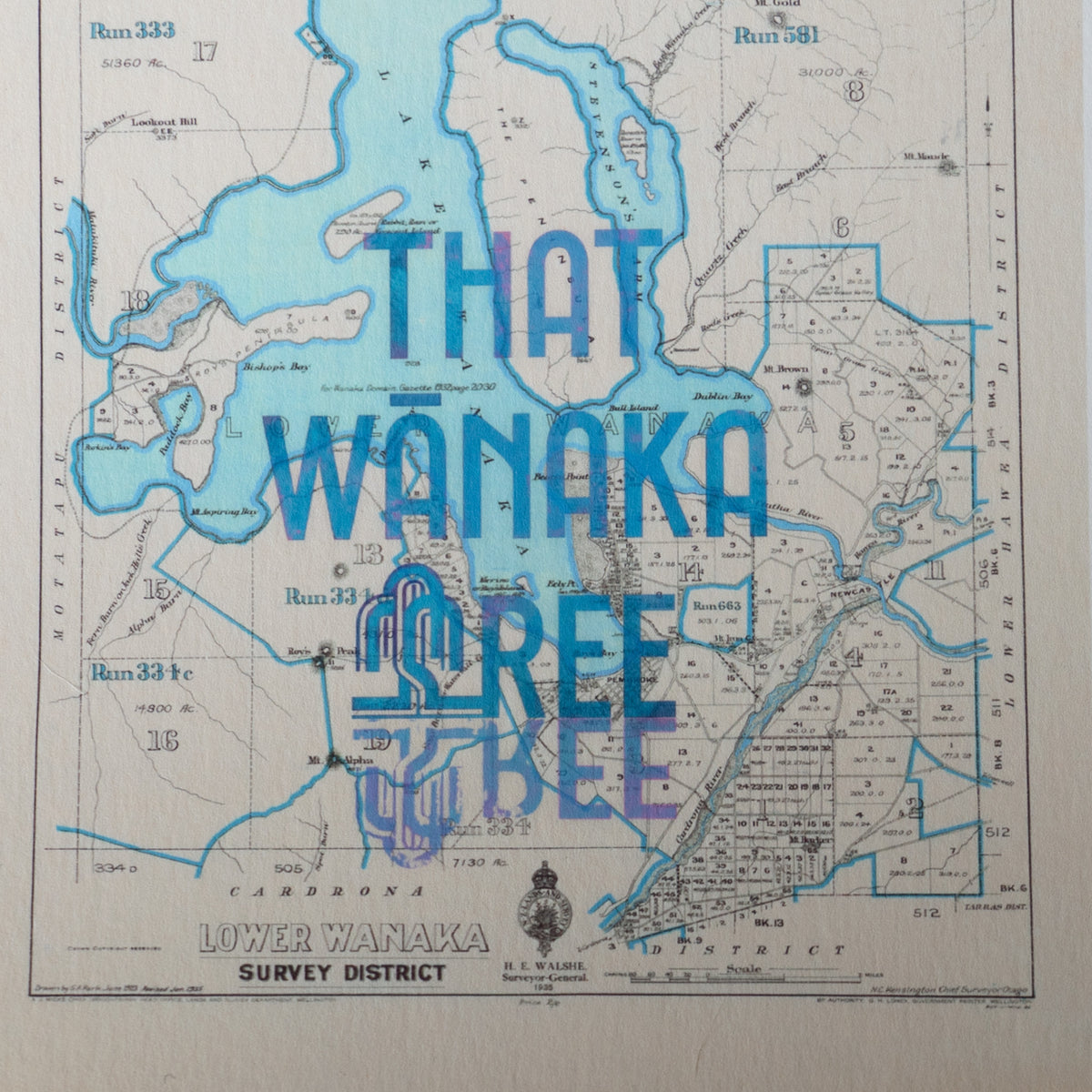 Wānaka No. 1 Map Print