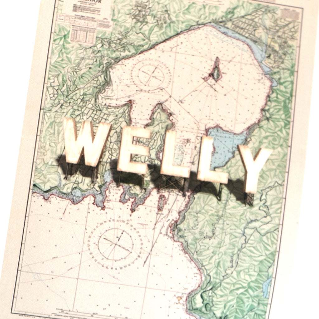 WELLY v3 Giclee Print on cotton Rag, Ltd. Ed Toptownz.shop, Town slogans