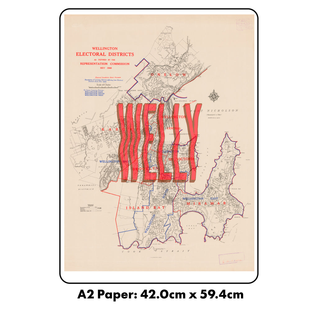 Welly - Limited Edition Giclée map print of Wellington NZ v01 – toptownz